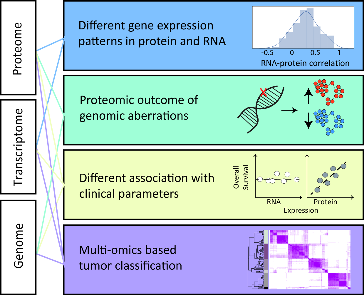 Cancer Proteogenomics | Tami Geiger